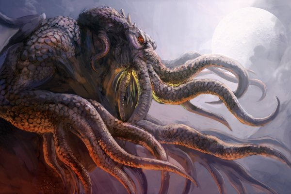 Kraken как найти ссылку